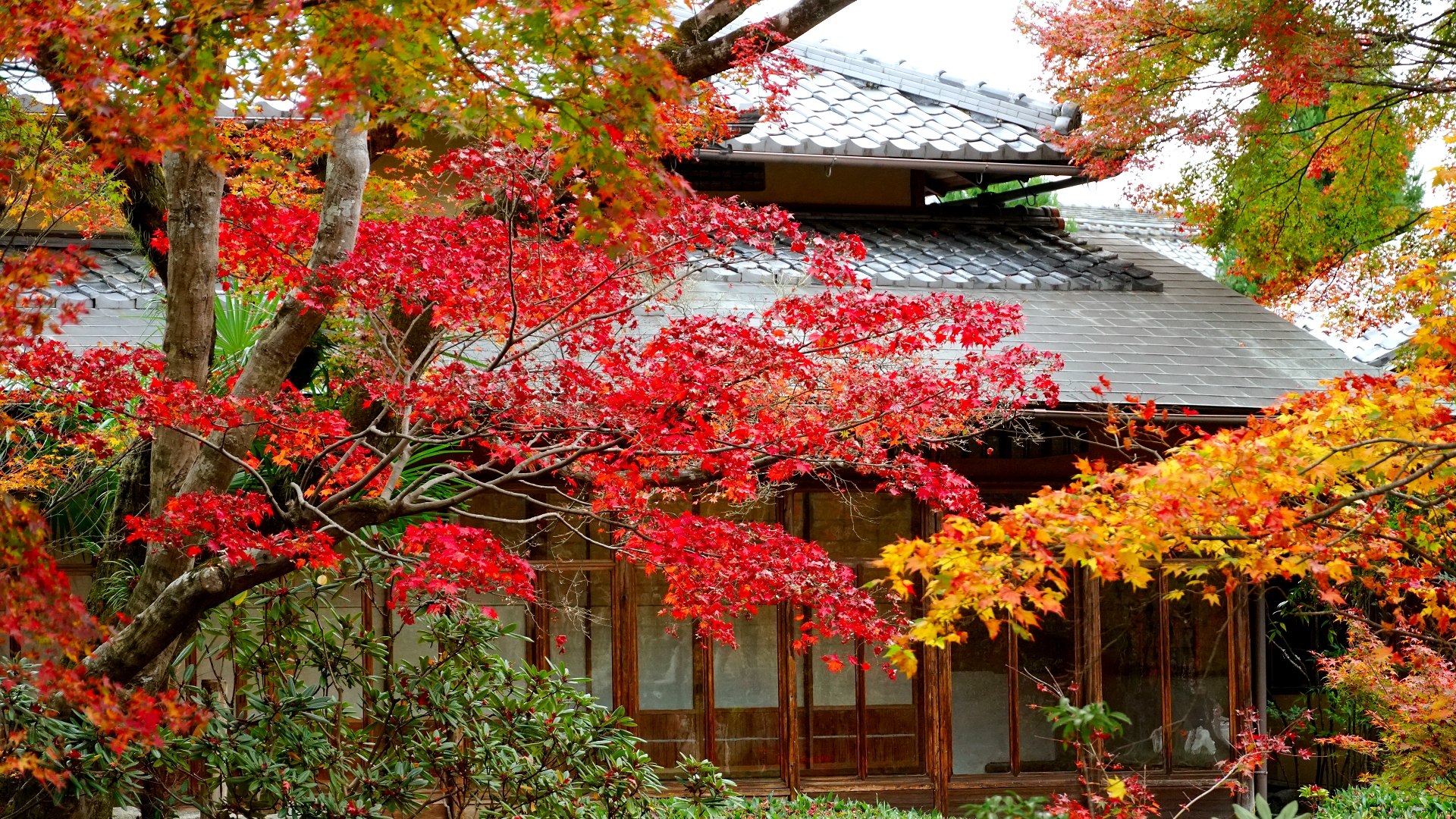 宝厳院