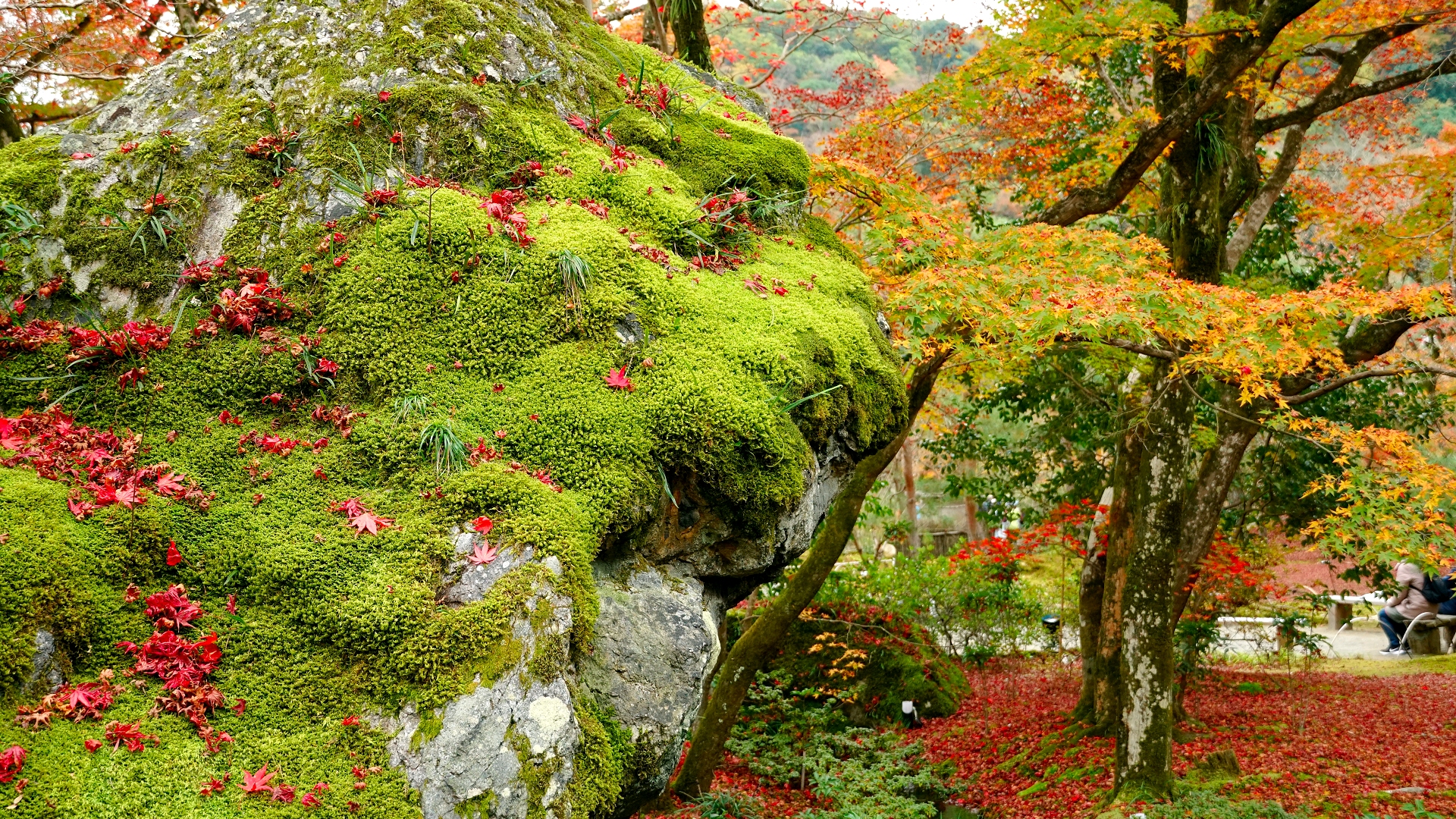 宝厳院