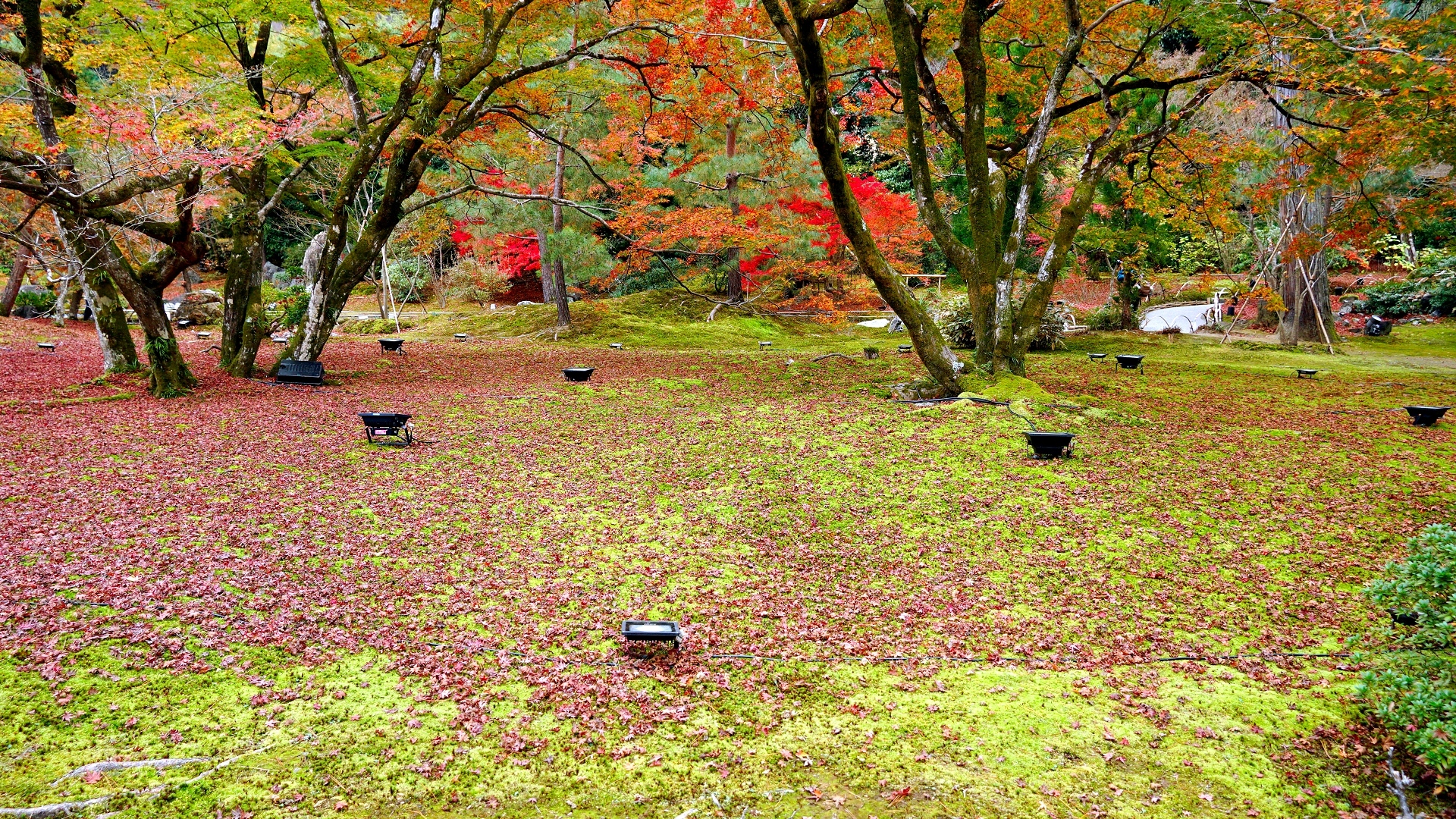 宝厳院