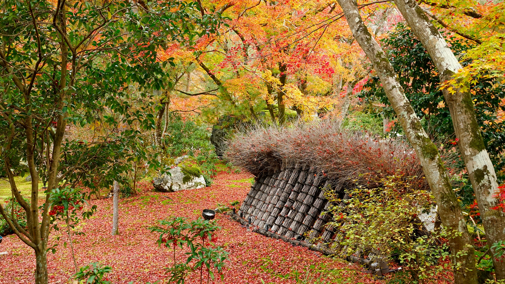 宝厳院