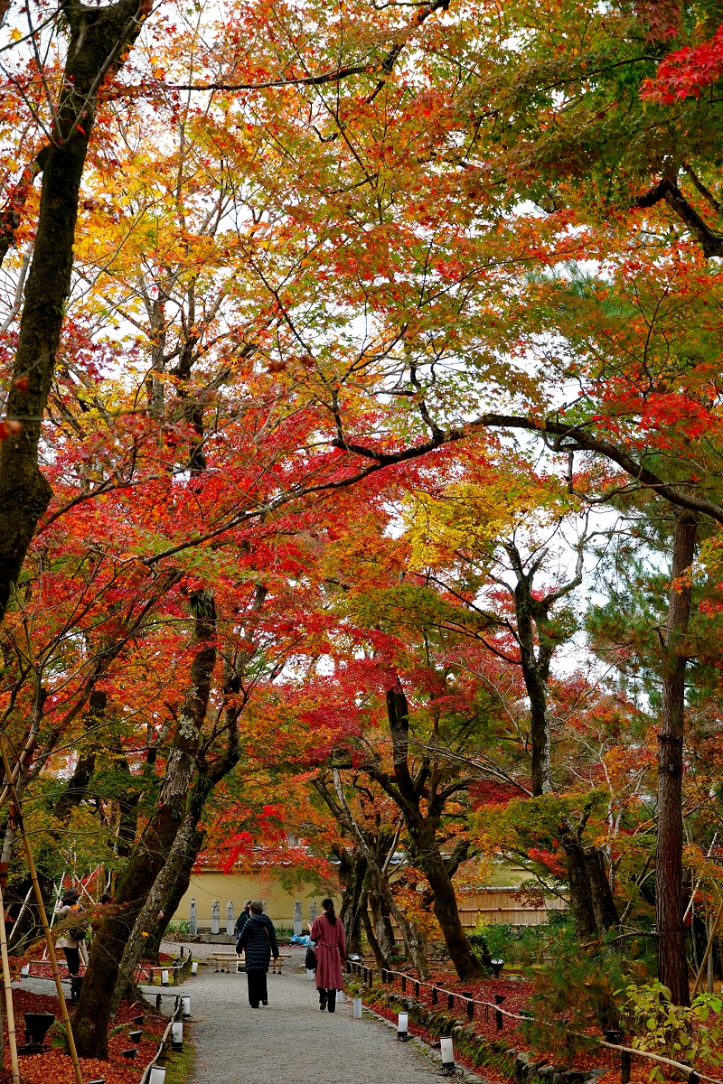 宝厳院