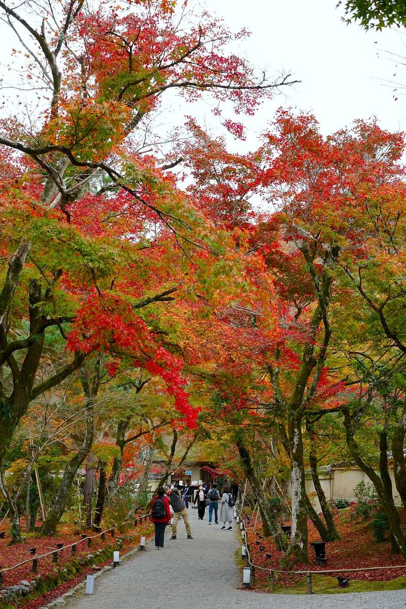 宝厳院