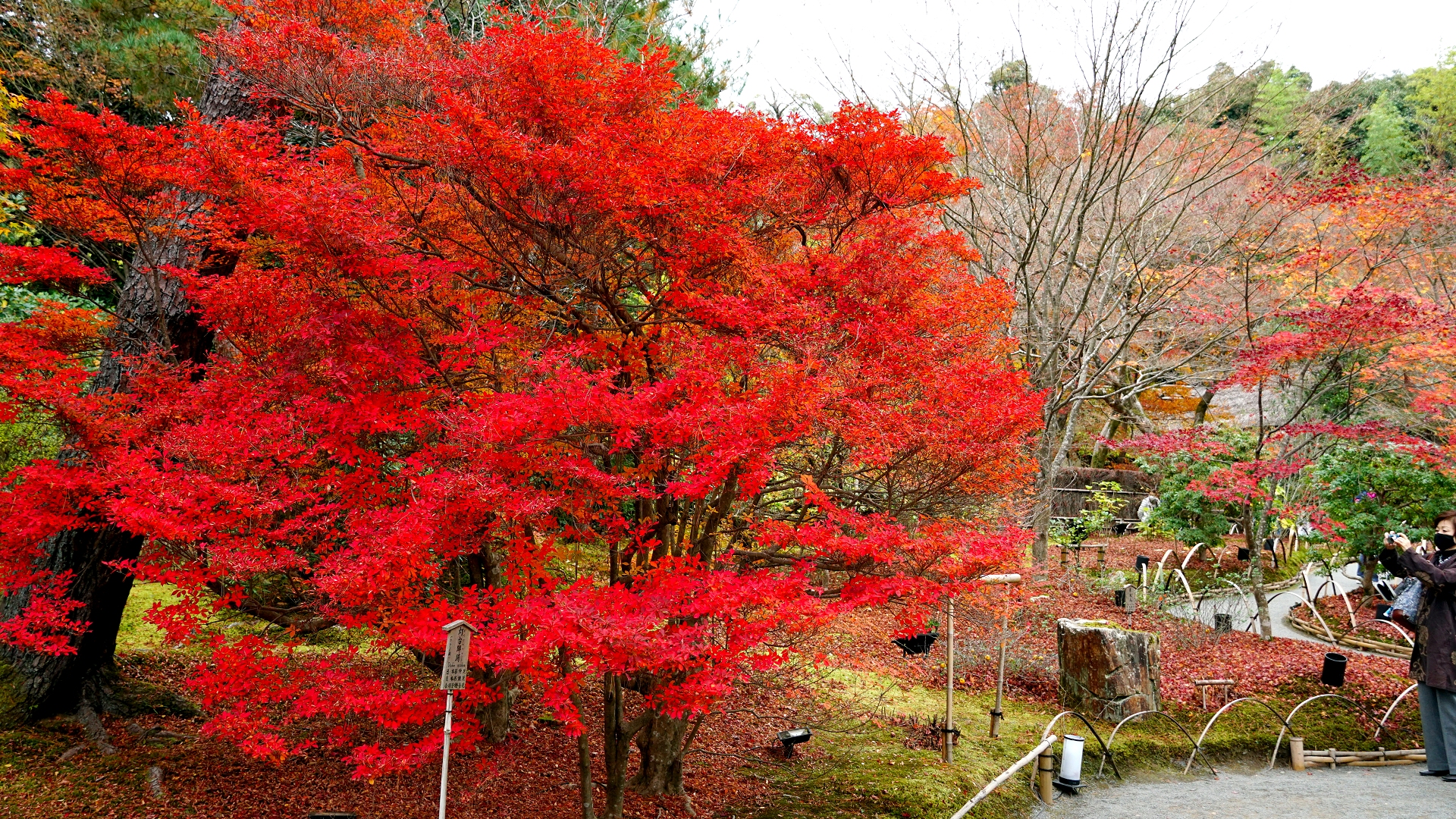 宝厳院