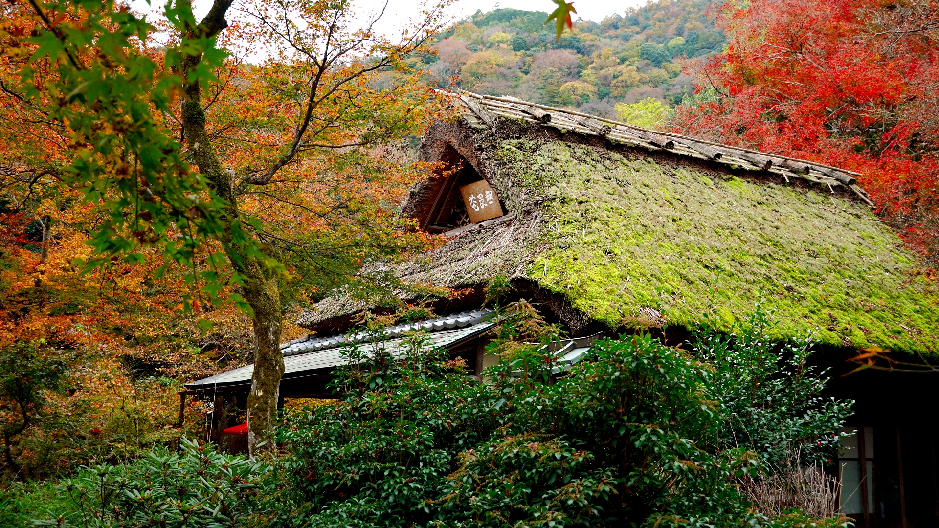 宝厳院