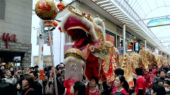 南京町春節祭り Nankinmachi Shunsetsu