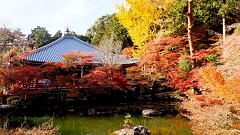 醍醐寺