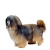 Lhasa Apso